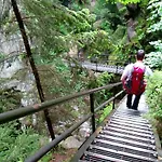 Schlafwandler