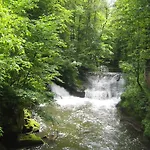 Schlafwandler