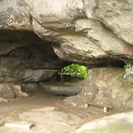 Schlafwandler