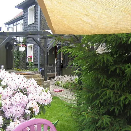 Schlafwandler Steinigtwolmsdorf