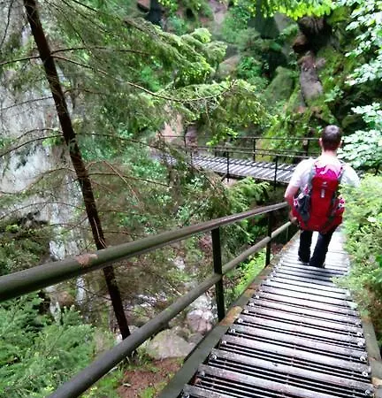 Schlafwandler